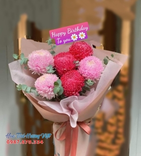 Hoa bó mẫu đơn đỏ mix hồng-HV43